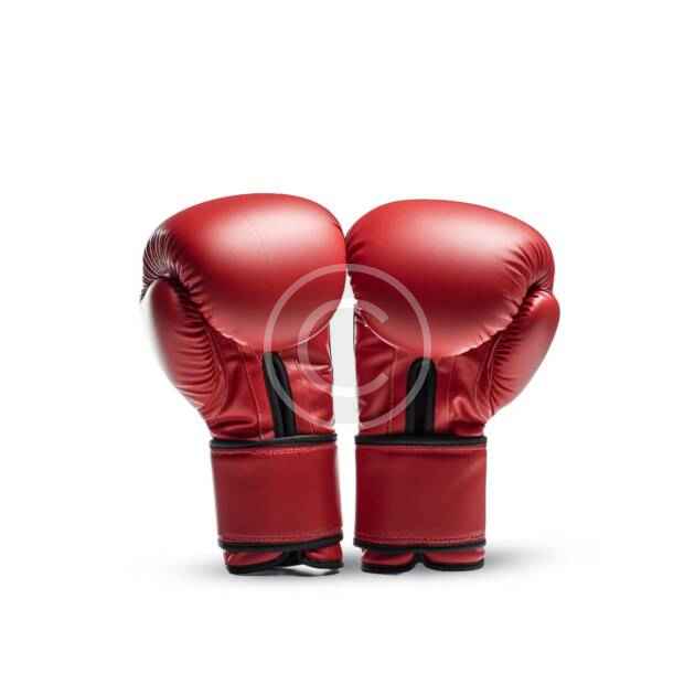Boxing gloves